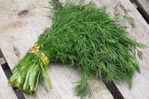 Loại rau giúp giảm lượng đường trong máu và chống ung thư