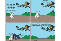 Đừng tin vào mấy câu "đạo lý" trên mạng xã hội