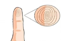 Quan sát ngón út 3 giây, biết ngay về già sướng hay khổ