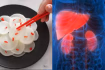 Loại củ rẻ tiền bán đầy chợ dưỡng gan thận tốt như nhân sâm