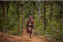 Cuộc sống của bộ tộc săn bắt cuối cùng ở Nepal ở thế kỉ 21