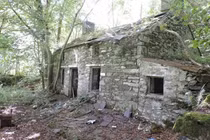 Căn nhà cũ nát mua gần 2 triệu, 20 năm sau ai cũng choáng