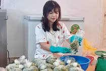 Món rau nhà nghèo thành đặc sản, chị em lùng mua tích trữ