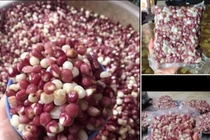 Thứ ăn cứu đói của nhà nghèo ngày xưa bỗng thành đặc sản