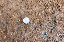 Mưa đá bất ngờ trút xối xả xuống Đồng Nai, Bình Dương