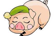 Người tuổi Hợi nên trồng cây gì trong năm 2018 để phát tài phát lộc