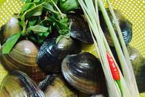 Những người không nên ăn trai, hến kẻo "hối không kịp"