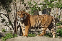 Tuần mới sang, 3 con giáp tài lộc bùng nổ, sự nghiệp lên hương