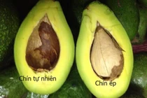 Vạch mặt 5 loại quả bán đầy chợ dễ bị ngâm ủ hóa chất