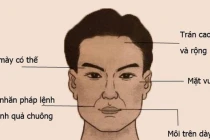 Đàn ông 2 to, 1 dài thông minh hơn người cả đời không lo nghèo đói