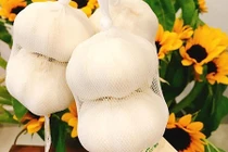 Cuồng hàng Nhật: Nhà giàu Việt mua tỏi 100 ngàn về xào rau muống