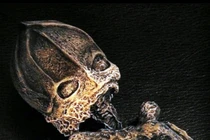 Sự thật sau xác "người lùn ngoài hành tinh" dài chưa tới 25cm