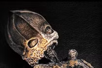 Sự thật sau xác "người lùn ngoài hành tinh" dài chưa tới 25cm