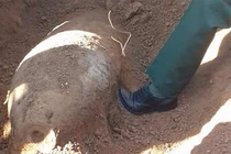 Chẻ củi trên quả bom nặng 250 kg suốt nhiều năm