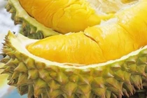 Video: Thực hư việc tử vong vì ăn sầu riêng và uống nước ngọt?