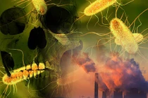 Loại vi khuẩn có thể giết trăm triệu người sắp thoát ra từ Bắc Cực?