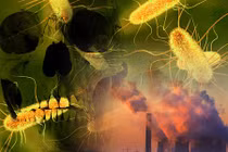 Loại vi khuẩn có thể giết trăm triệu người sắp thoát ra từ Bắc Cực?