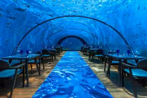 Nhà hàng dưới đáy biển lớn nhất thế giới