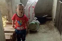 Video bé 3 tuổi cãi nhau siêu đáng yêu với chó khiến dân mạng share chóng mặt