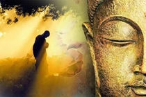 Phật dạy: Bao dung cho người khác để cuộc sống an lạc nhẹ nhàng