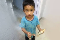 Vô tình làm gà con bị thương, cậu bé đưa gà đi bệnh viện