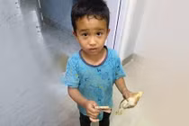 Vô tình làm gà con bị thương, cậu bé đưa gà đi bệnh viện