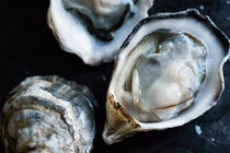 7 thực phẩm giàu kẽm tốt cho hệ miễn dịch