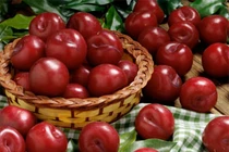 Vì sao Tết Đoan Ngọ có nguồn gốc từ Việt Nam?