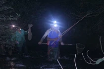 Đêm săn "vũ nữ chân dài" ở miền gái đẹp xứ Tuyên