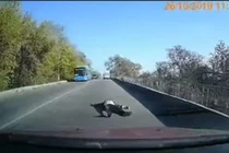 Video: Thót tim cảnh bệnh nhân trong xe cứu thương bất ngờ rơi xuống đường