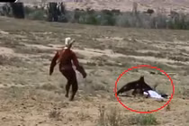 Video: Hãi hùng cảnh đại bàng khổng lồ tấn công bé gái 8 tuổi