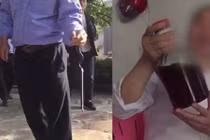 Video: Kết đắng của rắn hổ mang dại dột mò vào tòa nhà