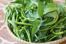 Video: Sự thật ăn rau muống chưa chín sẽ bị xơ gan