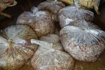 Nguyên nhân thương lái ráo riết lùng mua vảy cá ở miền Tây