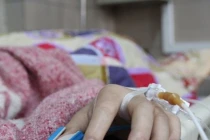 Ăn nhiều quả cherry, một phụ nữ đại tiện ra máu ngộ độc nặng