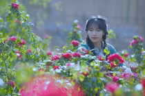 "Tiên nữ đồng quê" Lý Tử Thất bị kẻ gian mạo danh lừa đảo