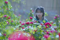 "Tiên nữ đồng quê" Lý Tử Thất bị kẻ gian mạo danh lừa đảo