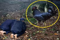 "Nghi thức" kỳ quái của những tay trộm cổ mộ khôn lỏi