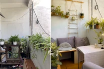 Cô gái xây dựng khu vườn ở ban công từ đồ đạc tự làm