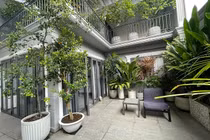 Nhà phố với giàn cây thẳng đứng, hoa trái quanh năm rực rỡ