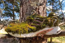 Kinh ngạc những bức ảnh thiên nhiên kỳ thú