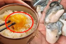 9 thực phẩm tuyệt đối không ăn sống, làm tăng nguy cơ nhiễm khuẩn