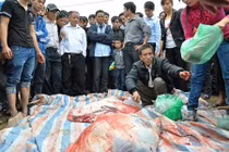 Hé lộ lý do thịt trâu có giá 3 triệu/kg ở Vĩnh Phúc