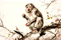 Giờ xuất hành tuổi Thân năm Mậu Tuất cho năm mới thuận lợi