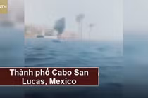 Video: Màn lướt sóng sử dụng túi nilon giữa cơn bão lớn