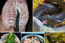 Loại cá từng tiến Vua ở Việt Nam đang được bán với giá siêu rẻ