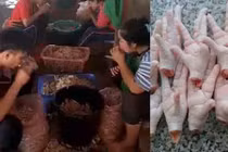 Dùng miệng người làm "máy" rút xương chân gà ở Thái Lan