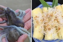 10 món ăn được xếp hạng độc hại nhất trên thế giới