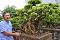 Sự thật về "gã khùng" đem ô tô, nhà đất đổi cây cảnh