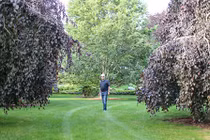 Vườn cây quý hiếm của ông lão 75 tuổi, giá 3,5 tỷ đồng mỗi cây